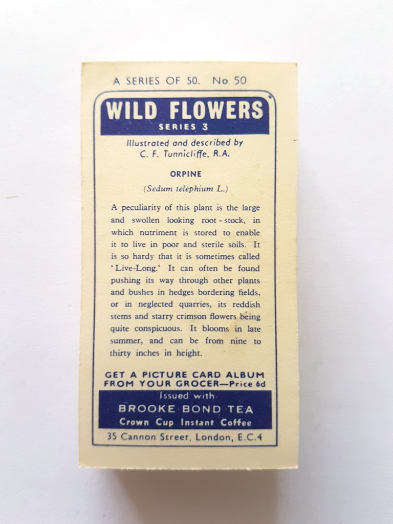 Photo of the back of these Wild Flowers (Series 3) tea cards