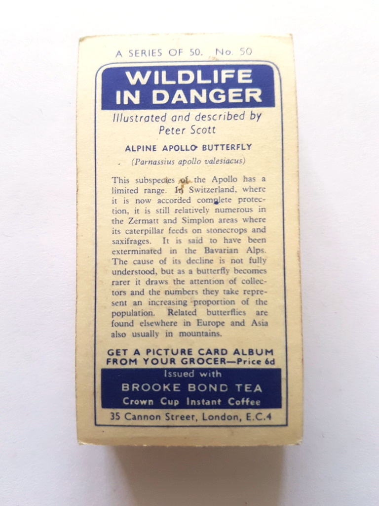 Photo of the back of these Wildlife in Danger tea cards