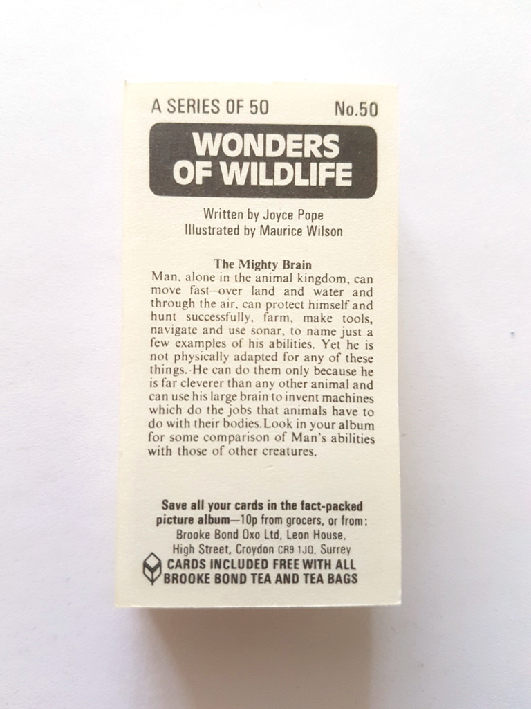 Photo of the back of these Wonders of Wildlife tea cards