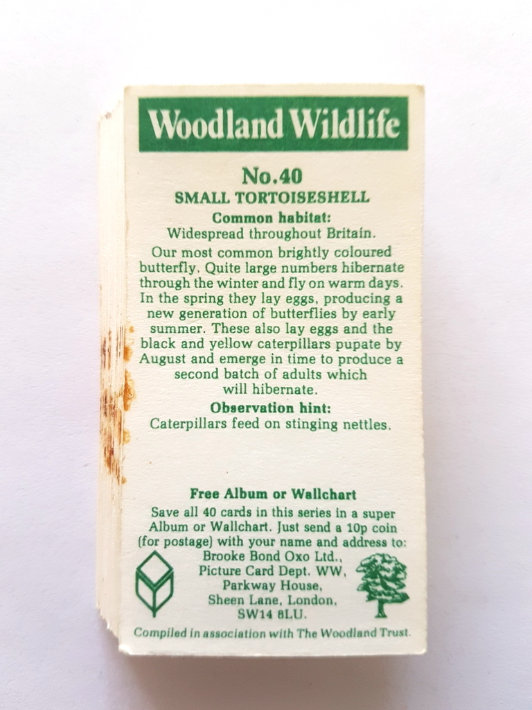 Photo of the back of these Woodland Wildlife tea cards