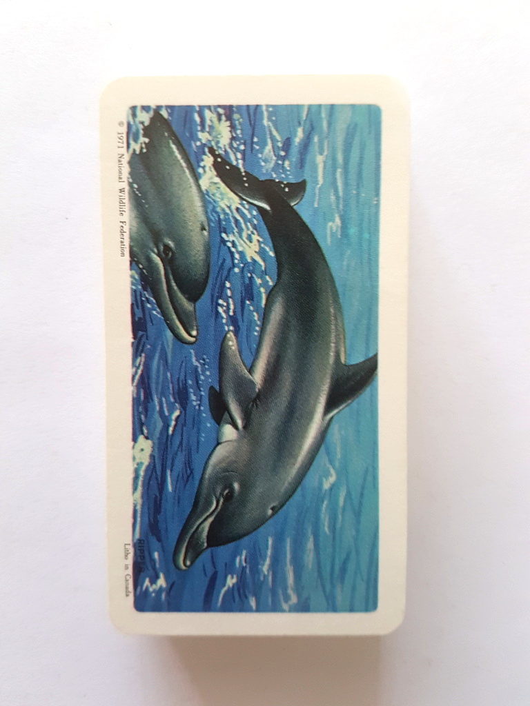 Photo of the front of these Exploring the Ocean tea cards