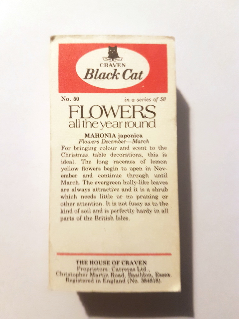 Photo of the back of these Flowers All the Year Round cigarette cards