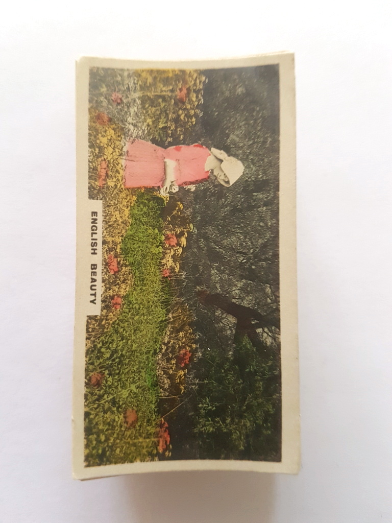 Photo of the front of these Camera Studies cigarette cards