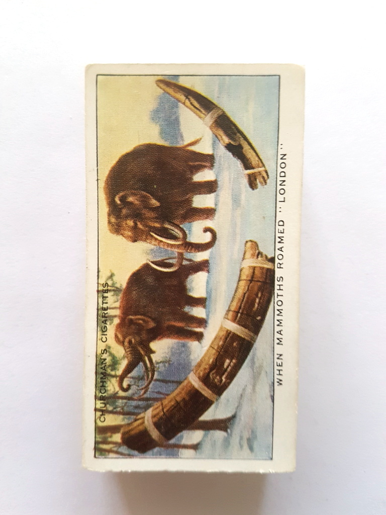 Photo of the front of these Treasure Trove cigarette cards