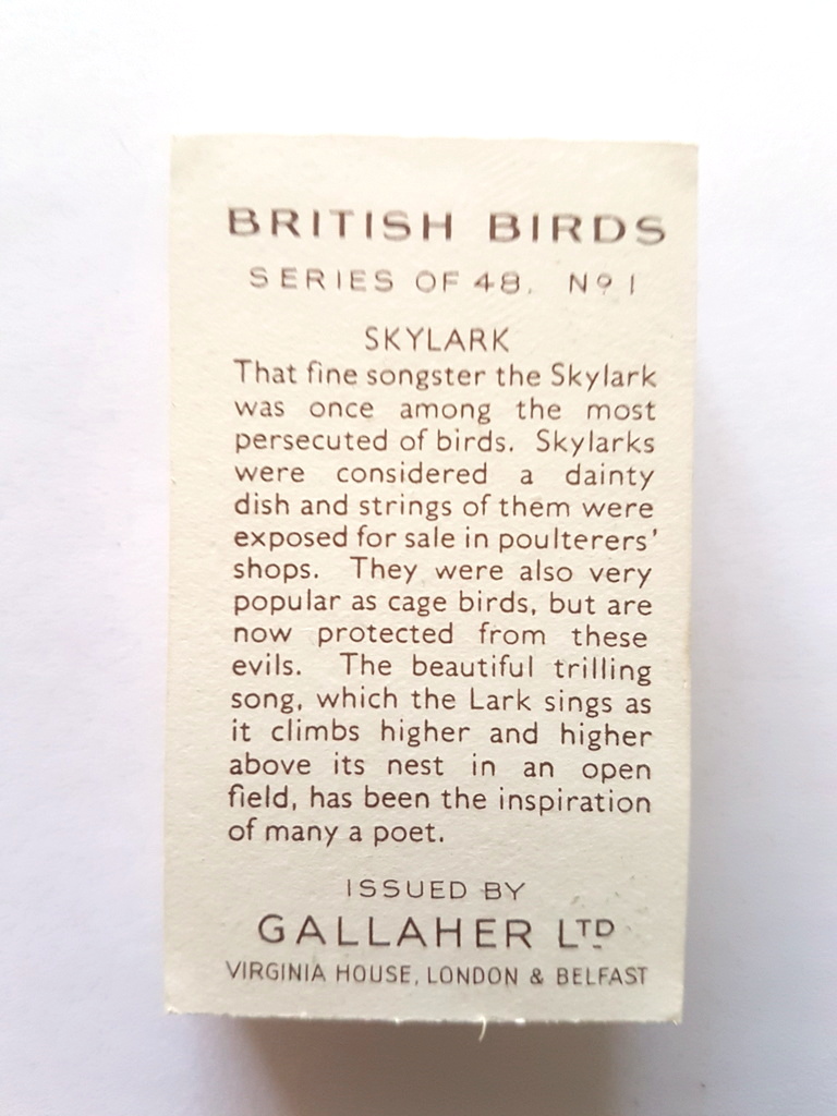 Photo of the back of these British Birds cigarette cards