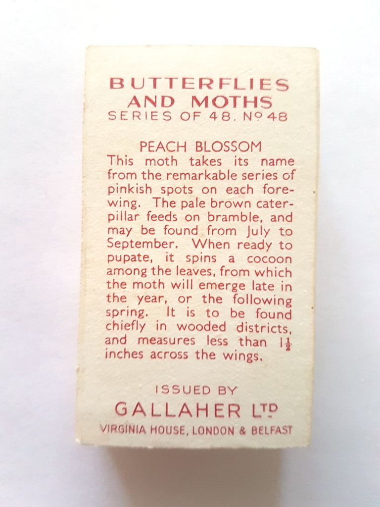 Photo of the back of these Butterflies and Moths cigarette cards