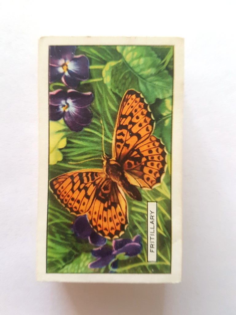 Photo of the front of these Butterflies and Moths cigarette cards