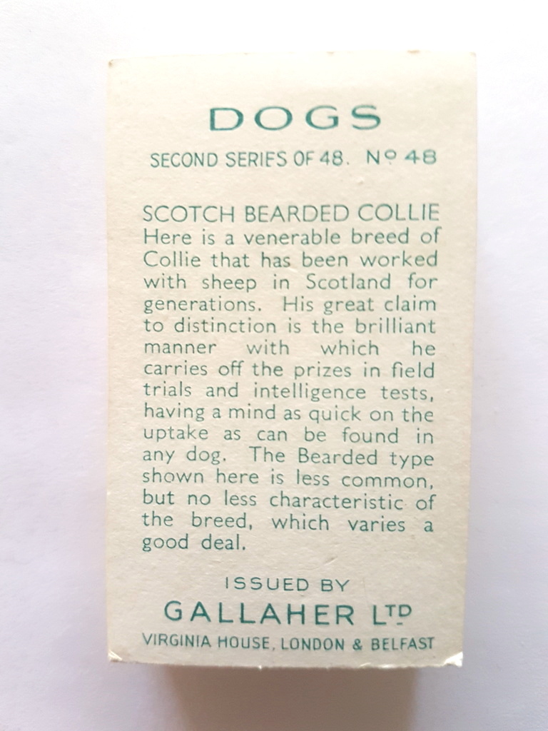 Photo of the back of these Dogs (2nd) cigarette cards