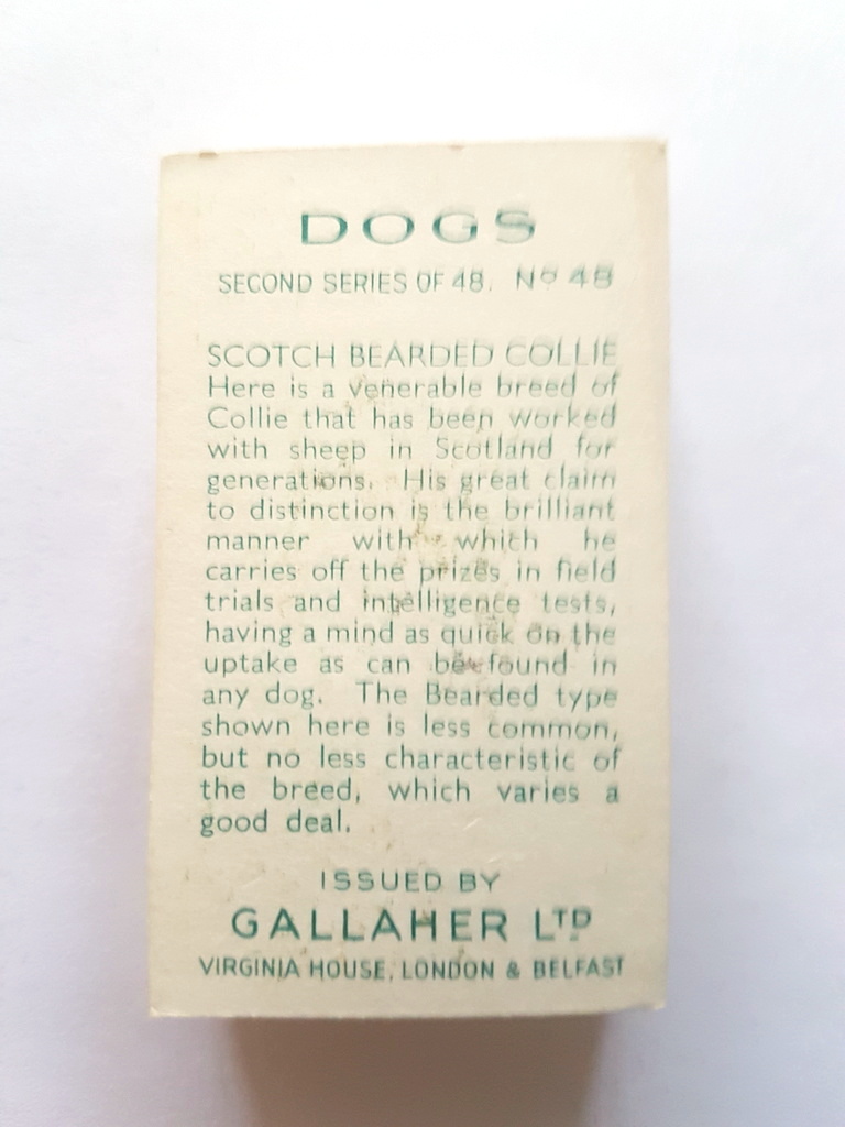 Photo of the back of these Dogs (2nd) cigarette cards