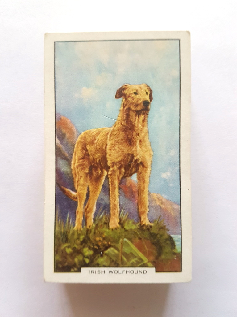 Photo of the front of these Dogs (2nd) cigarette cards