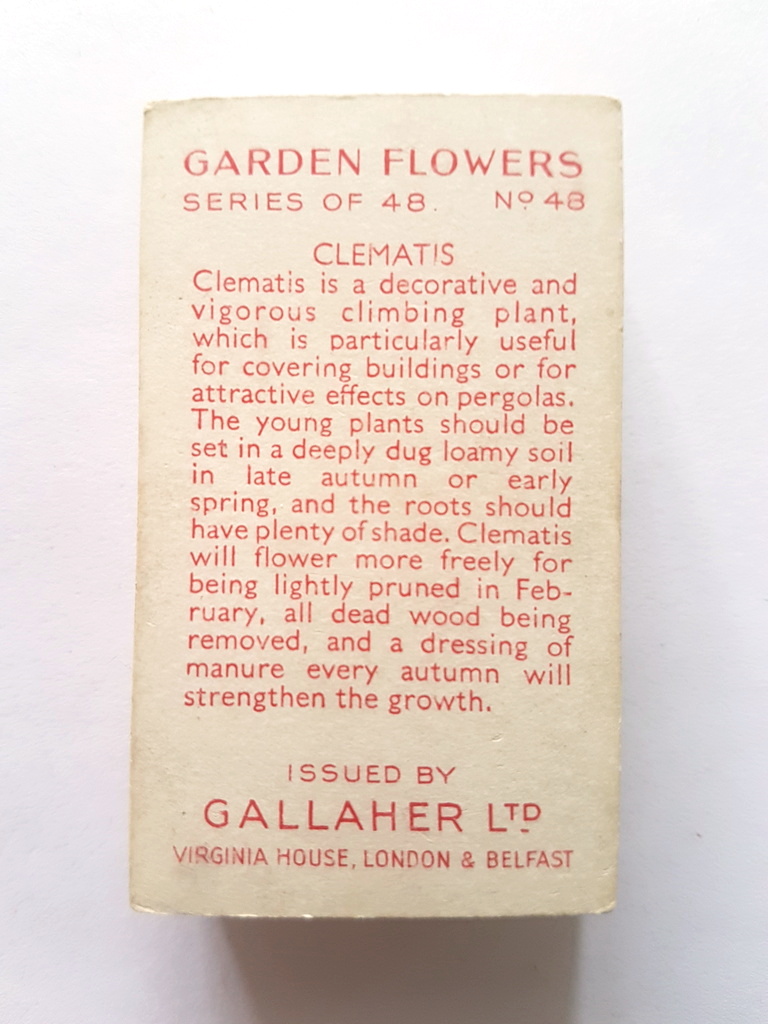 Photo of the back of these Garden Flowers cigarette cards