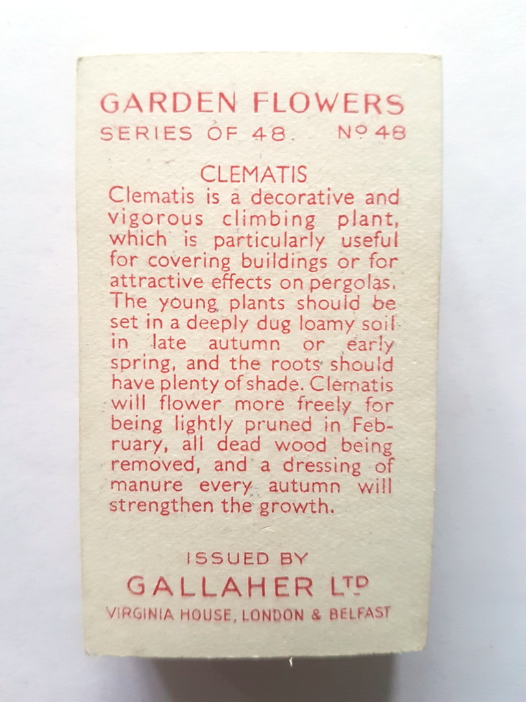 Photo of the back of these Garden Flowers cigarette cards