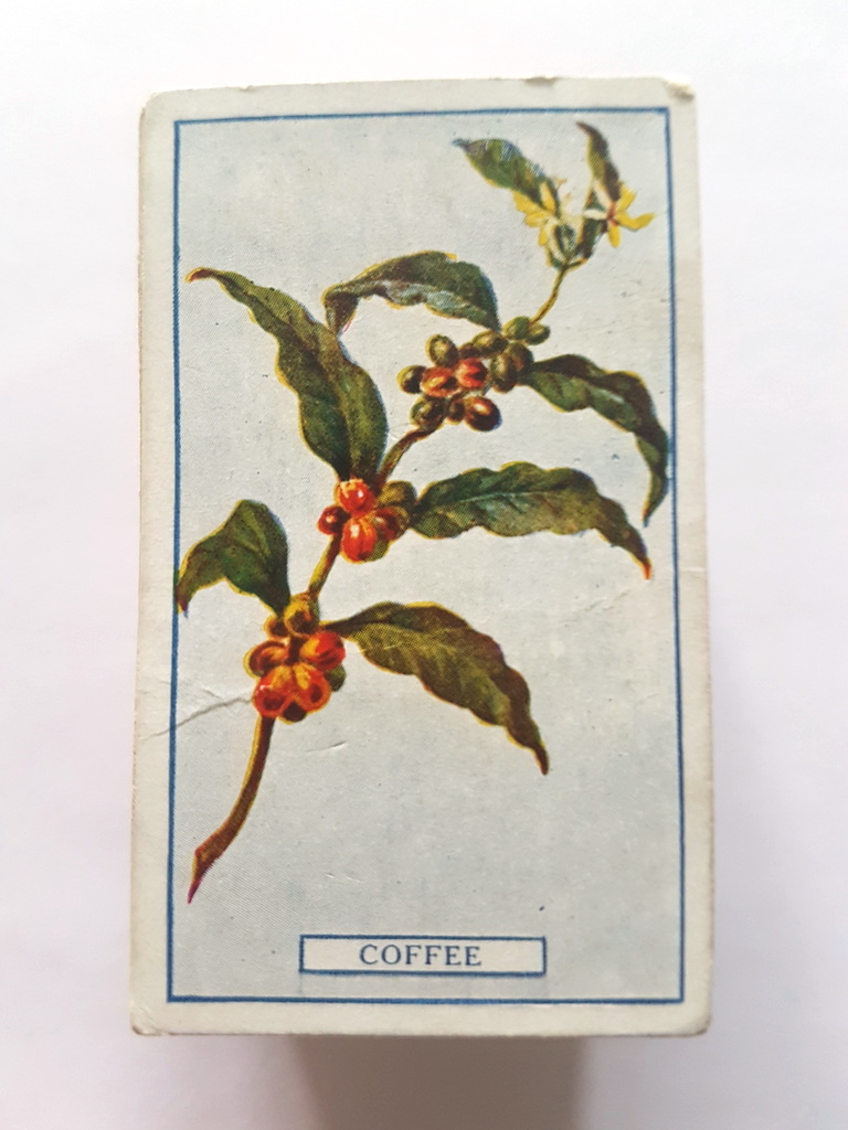 Photo of the front of these Plants of Commercial Value cigarette cards