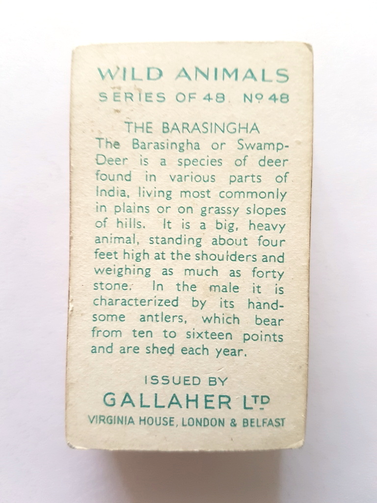 Photo of the back of these Wild Animals cigarette cards