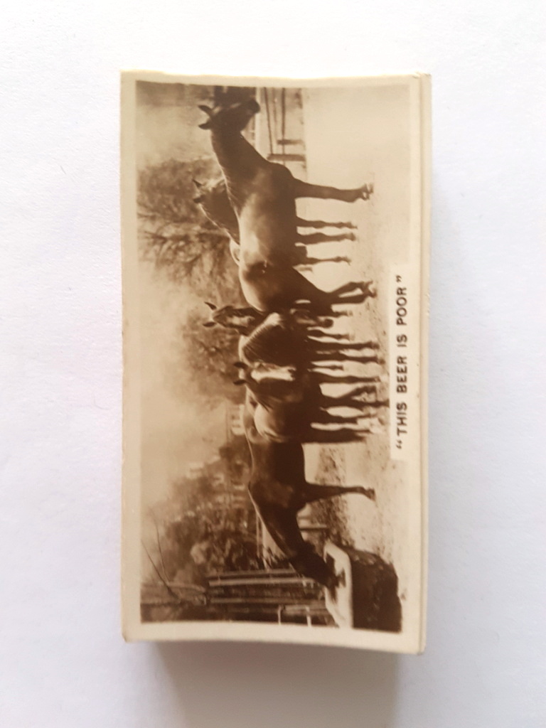 Photo of the front of these Real Photographs (3rd) cigarette cards