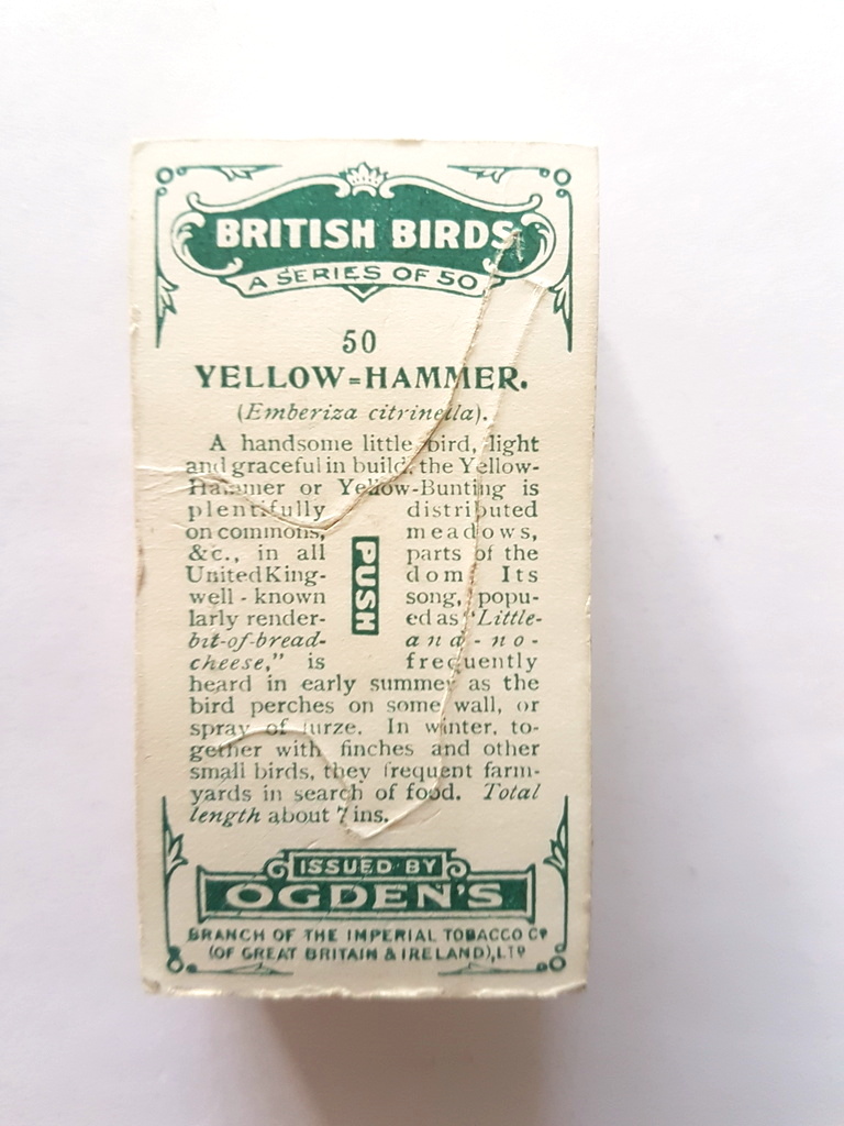 Photo of the back of these British Birds (cut-outs) cigarette cards