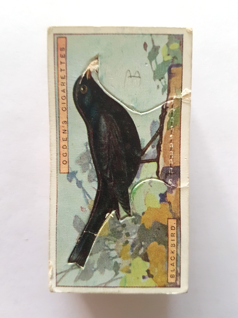 Photo of the front of these British Birds (cut-outs) cigarette cards