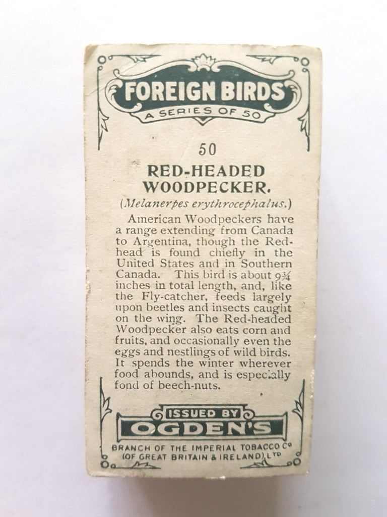 Photo of the back of these Foreign Birds cigarette cards