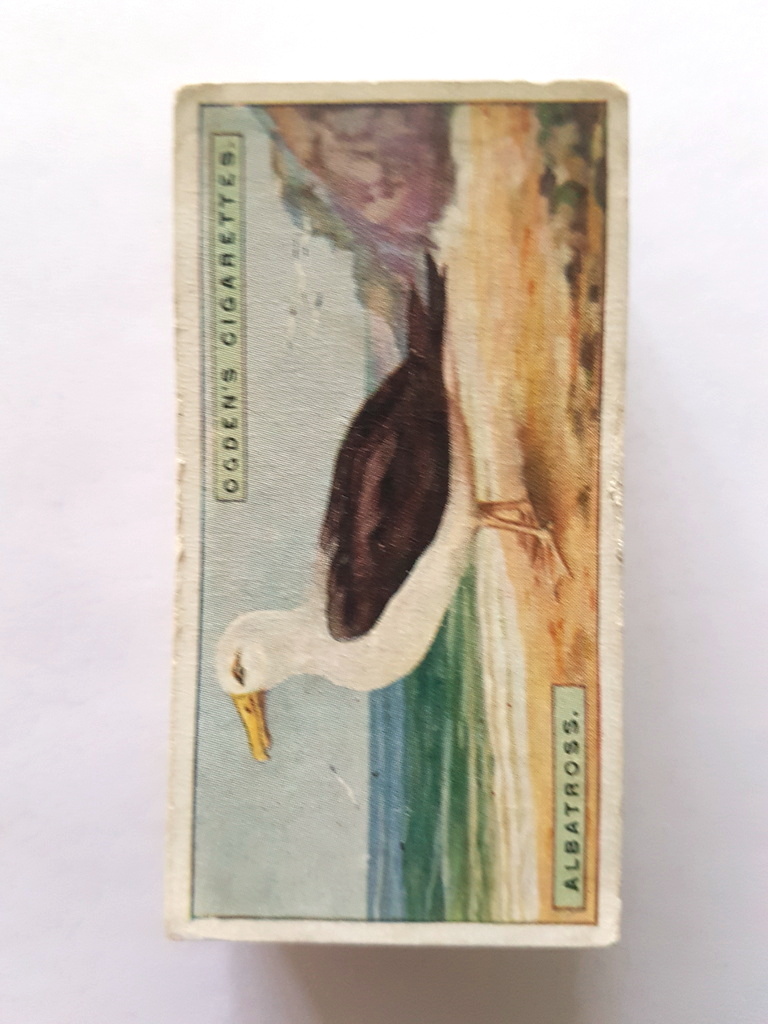 Photo of the front of these Foreign Birds cigarette cards