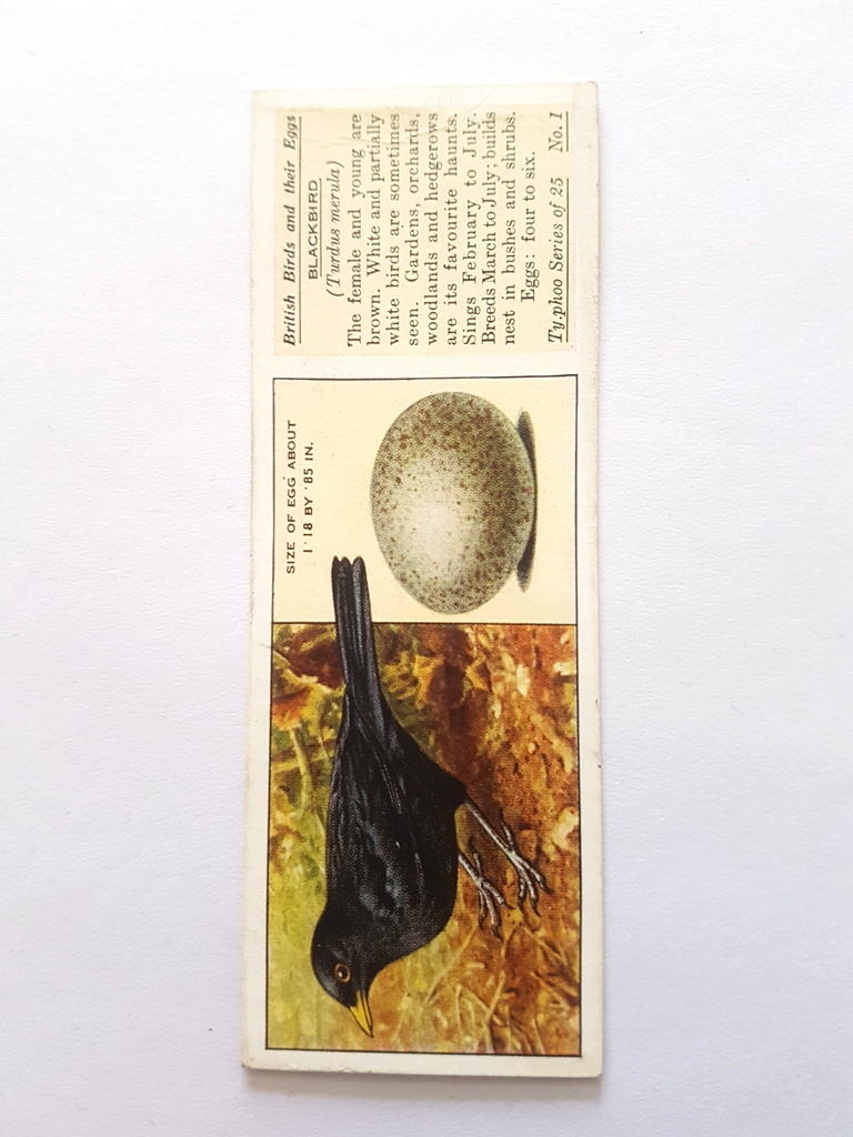 Photo of the front of these British Birds and their Eggs tea cards