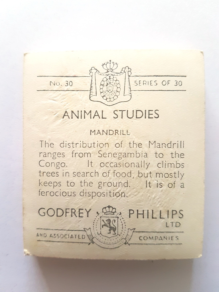 Photo of the back of these Animal Studies cigarette cards