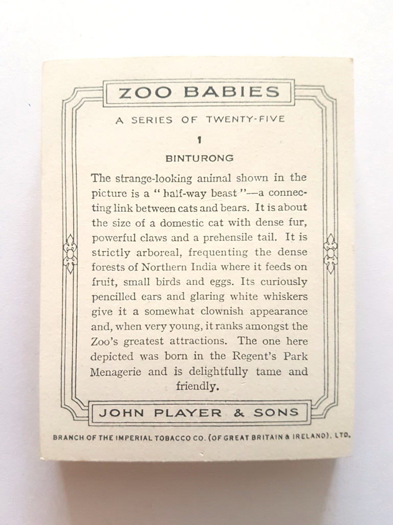 Photo of the back of these Zoo Babies cigarette cards