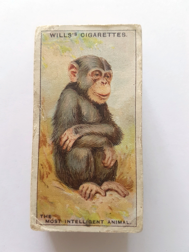 Photo of the front of these Do You Know (4th) cigarette cards