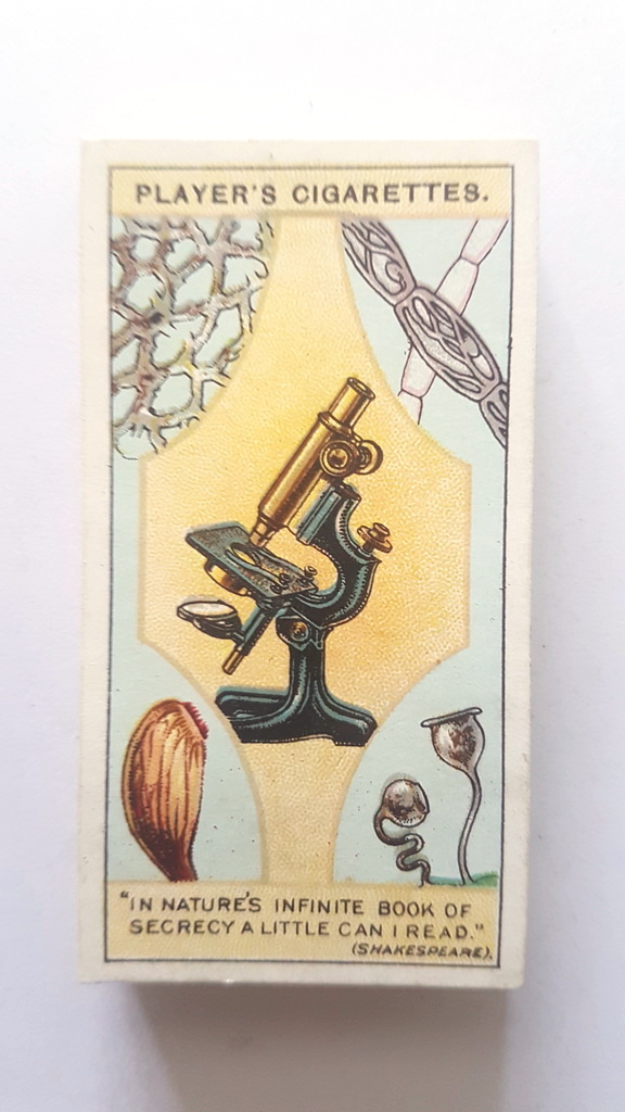 Photo of the front of these Hidden Beauties cigarette cards