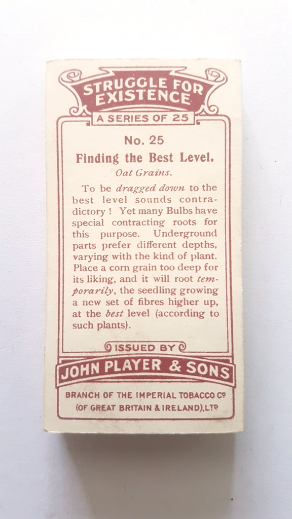 Photo of the back of these Struggle for Existence cigarette cards