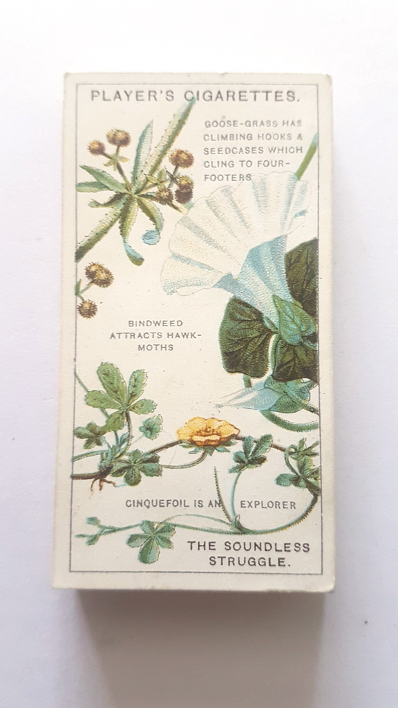 Photo of the front of these Struggle for Existence cigarette cards