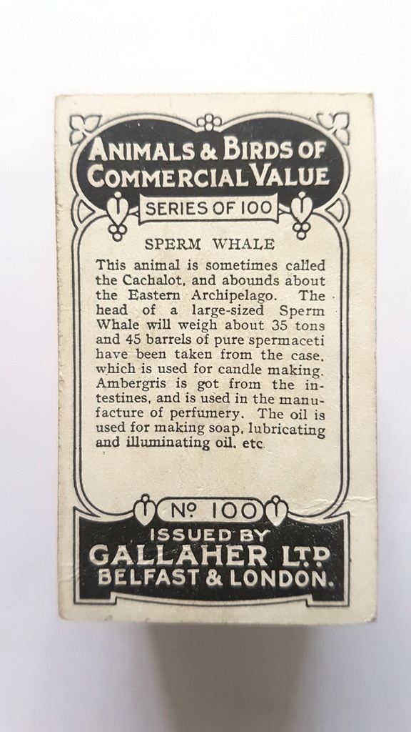 Photo of the back of these Animals & Birds of Commercial Value cigarette cards