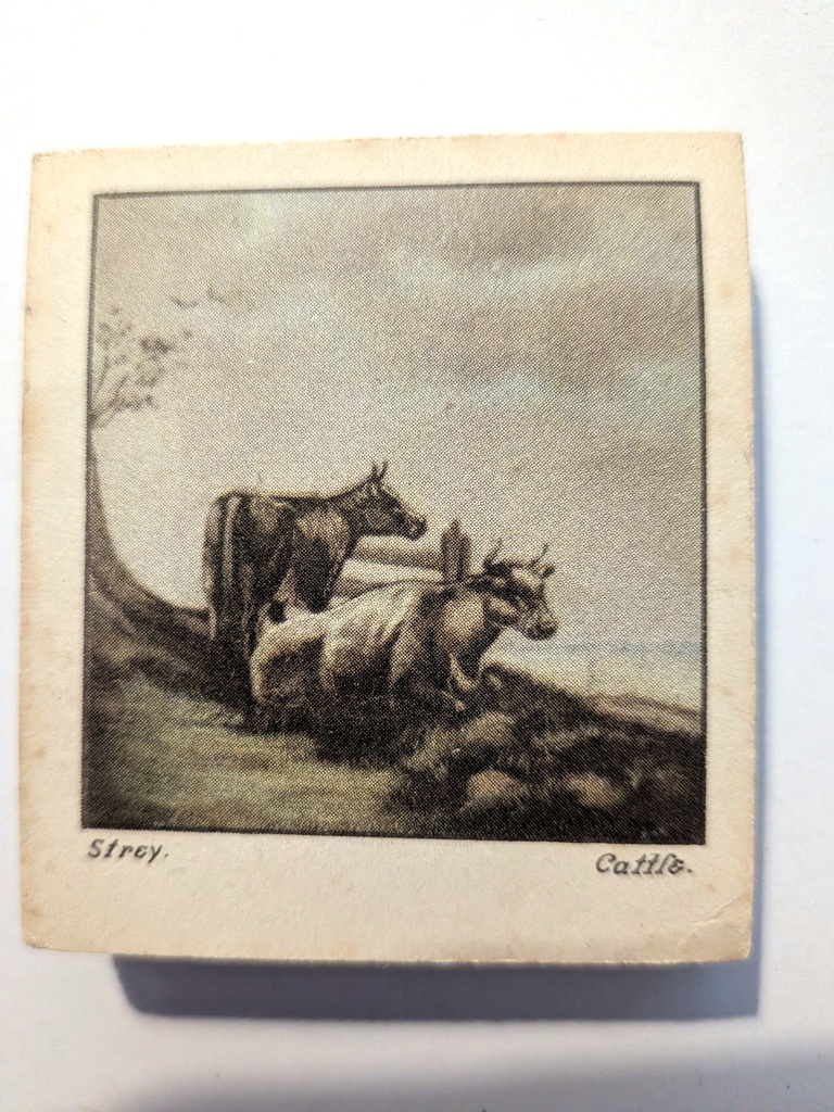 Photo of the front of these Old Masters cigarette cards