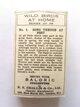 Photo of the back of the set of Wild Birds at Home ("Baldric") cigarette cards