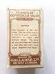 Photo of the back of the set of Plants of Commercial Value cigarette cards