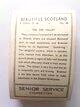 Photo of the back of the set of Beautiful Scotland (M) cigarette cards