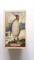 Photo of the front of the set of Animals & Birds of Commercial Value cigarette cards